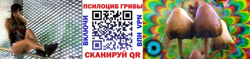 купить сайты гидра зеркало Галлюциногенные грибы ЛСД Электрогорск
