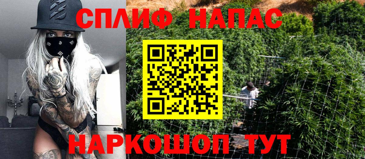 Электрогорск  Конопля Bruce Banner  Канабис THC 21%  Бошки марихуана THC 21%  Вход с VPN 